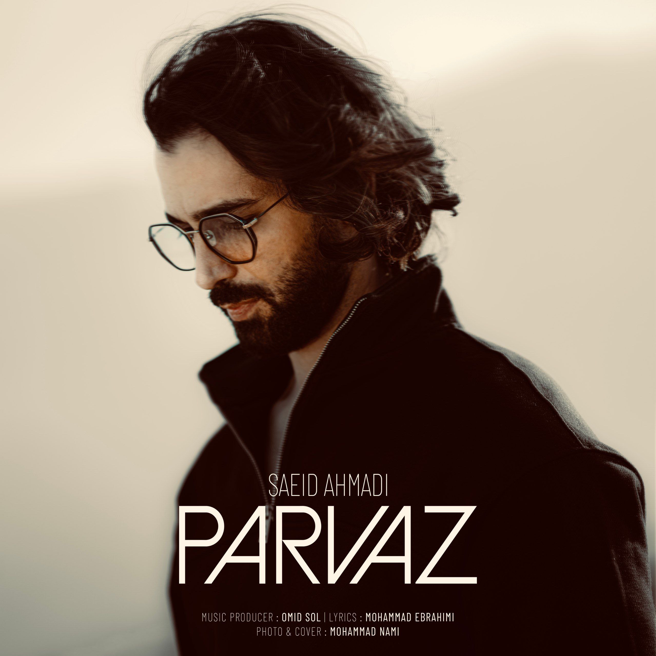 سعید احمدی - پرواز